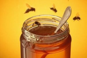 Barattolo di miele con api